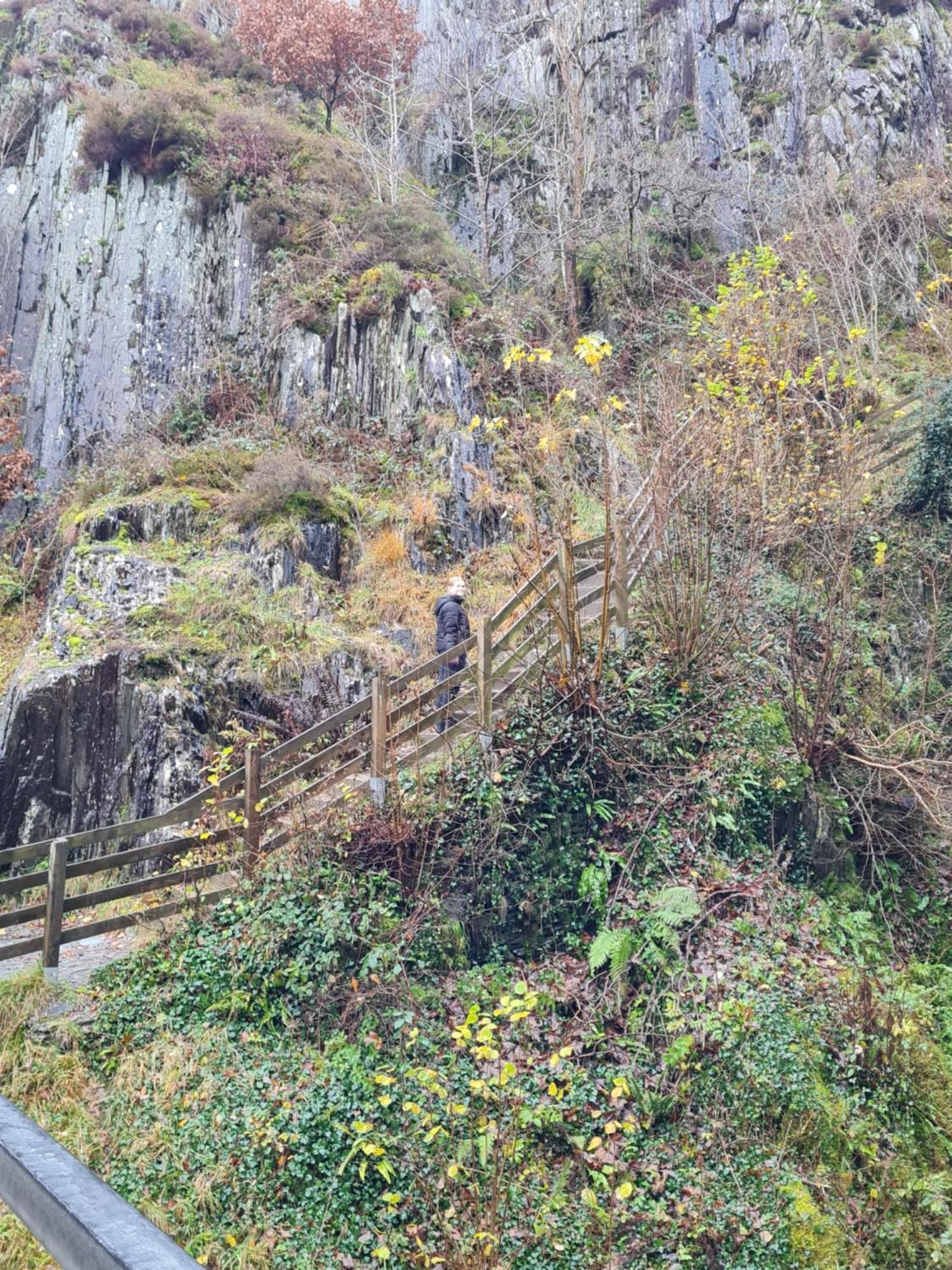 Marian Cottage 英格尔顿 外观 照片